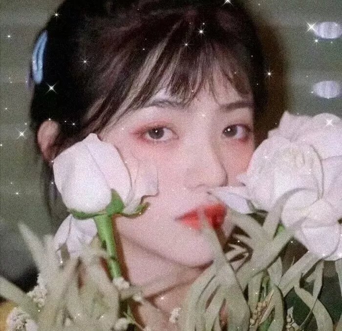 闪亮的风采